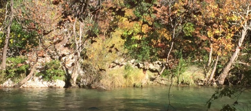 L'automne aux Asphodèles - Vallée de la Vis : La Vis, rivière sauvage