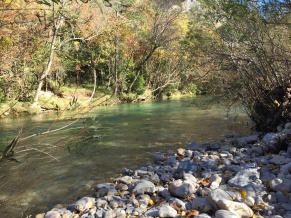 L'automne aux Asphodèles - Vallée de la Vis : La Vis, rivière sauvage